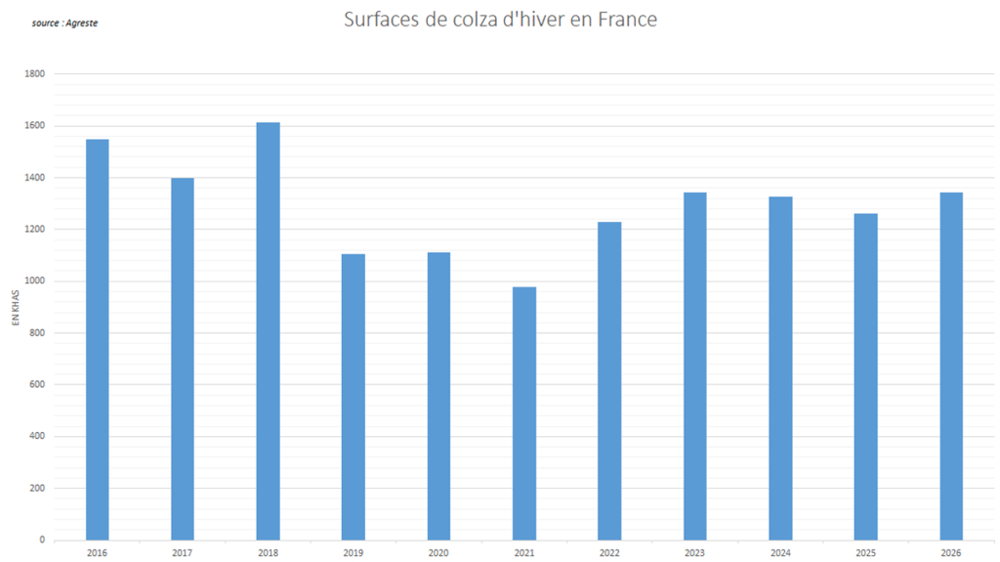 Les surfaces de colza d'hiver ont enregistré un nette progression cette année.