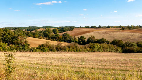 Selon Météo-France, l'année 2025 est une des années les plus chaudes jamais enregistrées.