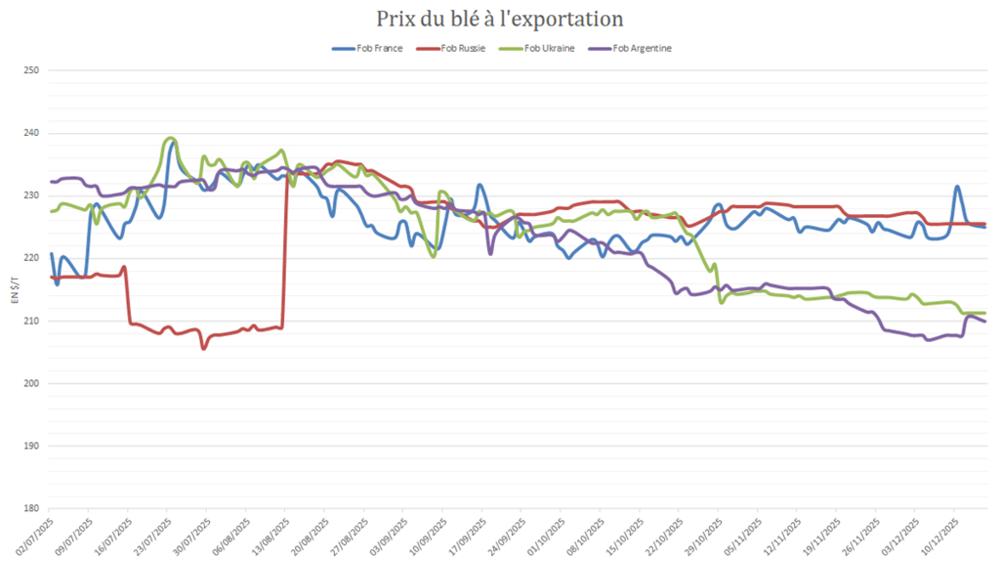 Le blé argentin est le plus compétitif à l’international.