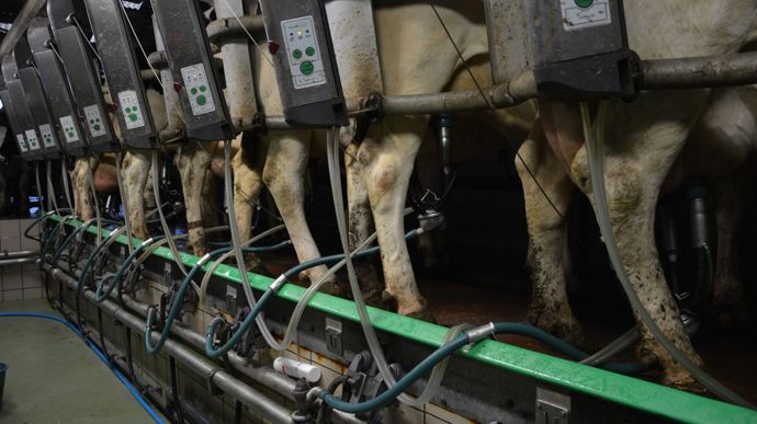 La proportion de vaches concernées par les mammites cliniques est également en progression.