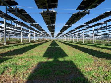 Centrale agrivoltaïque en cours de construction sur un élevage laitier dans le Calvados.