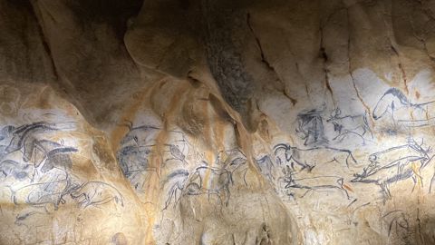 Des centaines d’animaux ornent les parois de la grotte Chauvet 2, à Vallon-Pont-d'Arc en Ardèche.