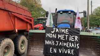 « On est dans une ère de multiplication des aléas », explique Aurélie Catallo, directrice agriculture à l'Iddri.
