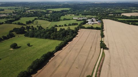 La plateforme Carbon Diag permet le diagnostic et le pilotage de l'empreinte carbone des exploitations.