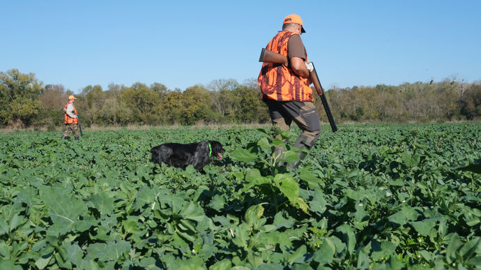 Dans le cadre de la location d'une chasse à des chasseurs, le bailleur doit s’abstenir de tout fait susceptible de diminuer l’utilité ou l’agrément de la chose louée au fermier.