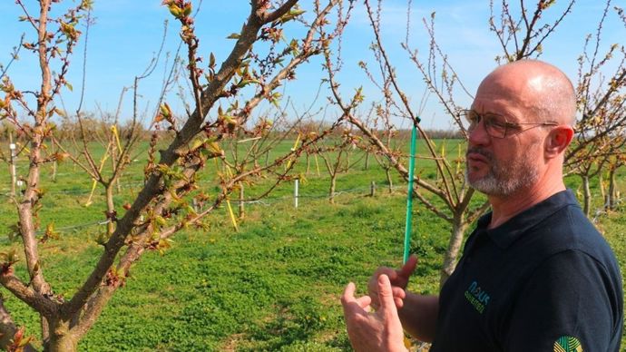 Hervé Martin responsable développement filières et nouvelles cultures de l'Alliance BFC