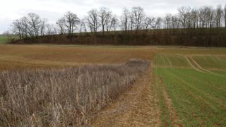 Un rapport recommande que des financements privés prennent le relais des aides publiques « pour valoriser et pérenniser la production des services environnementaux indispensables à la société ».