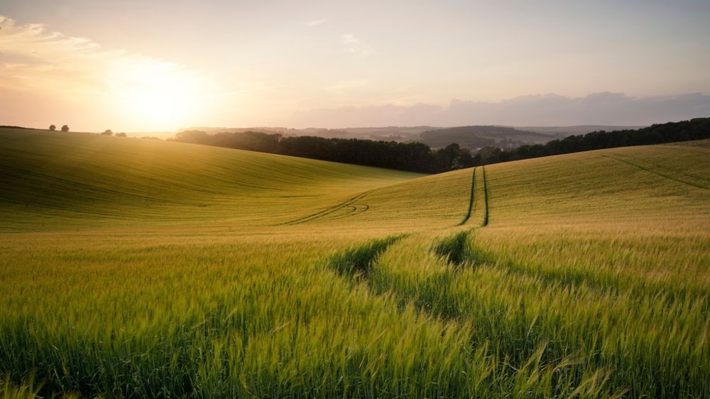 Paysage agricole et soleil couchant