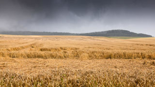 Les modèles météos basés sur l'IA sont encore lacunaires concernant la pluviométrie et les orages.