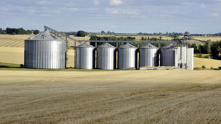 Chez les coopératives, 44 % des silos ont par exemple plus de 33 ans, selon la section métiers du grain de La Coopération Agricole.