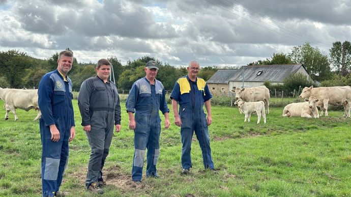 Véritables Enveloppes Bulle JIFFY Rembourrées - Toutes Tailles, Pour Expédition Et Envoi Colis