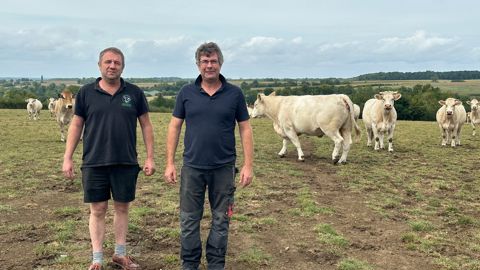 Les deux frères du Gaec Condé-Michelot (Meuse) ont opté pour des vêlages d'automne afin de préparer en lot les futures mères.