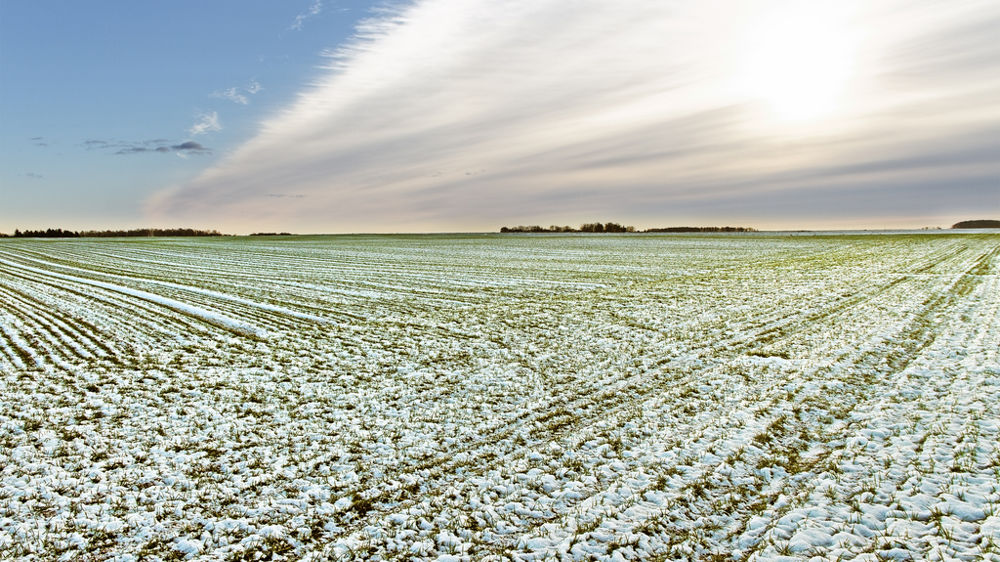 Les conditions hivernales ne présentent que peu de risques en Europe et en Russie.