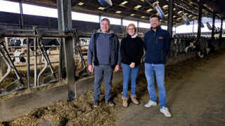 Marc, Alice et Quentin misent sur une répartition homogène des ventilateurs au-dessus de l'aire paillée.