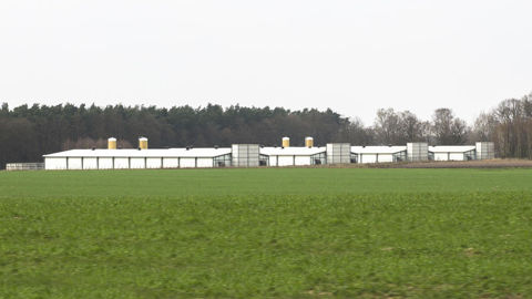 La certification concerne en premier lieu les élevages de porcs à l'engraissement allemands. Elle sera élargie à d'autres systèmes de production en 2026.