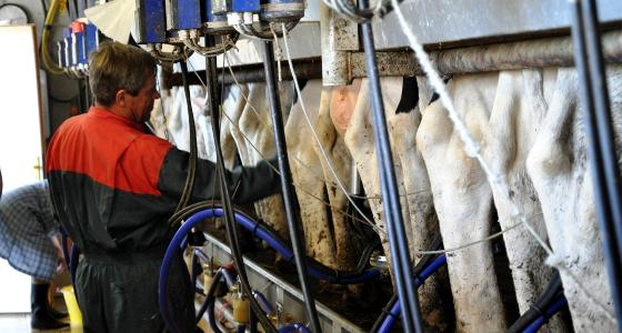 hausse du prix du lait