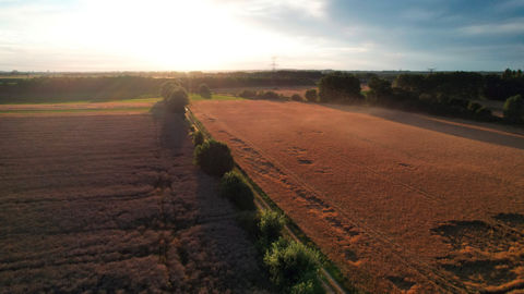 Côté pile, la qualité et les volumes sont au rendez-vous en 2025, côté face, les prix ne le sont pas.