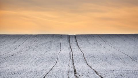 La neige recouvre les cultures françaises.