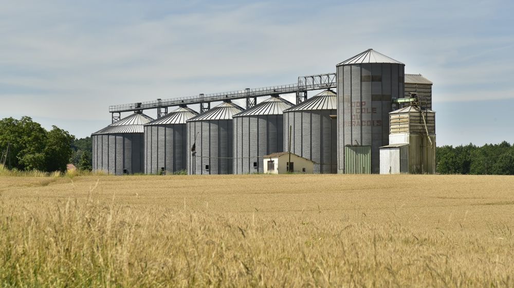 Les stocks de blé sont conséquents chez les grands pays exportateurs.