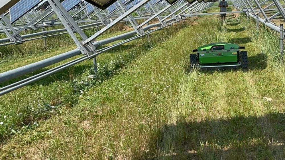 La machine radiocommandée est parfaitement adaptée à l'entretien des zones enherbées des parcs solaires.