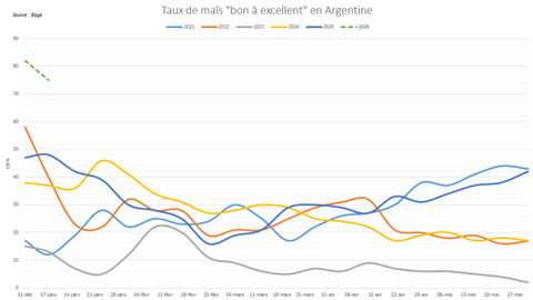 Les notations de maïs en Argentine sont très élevées.