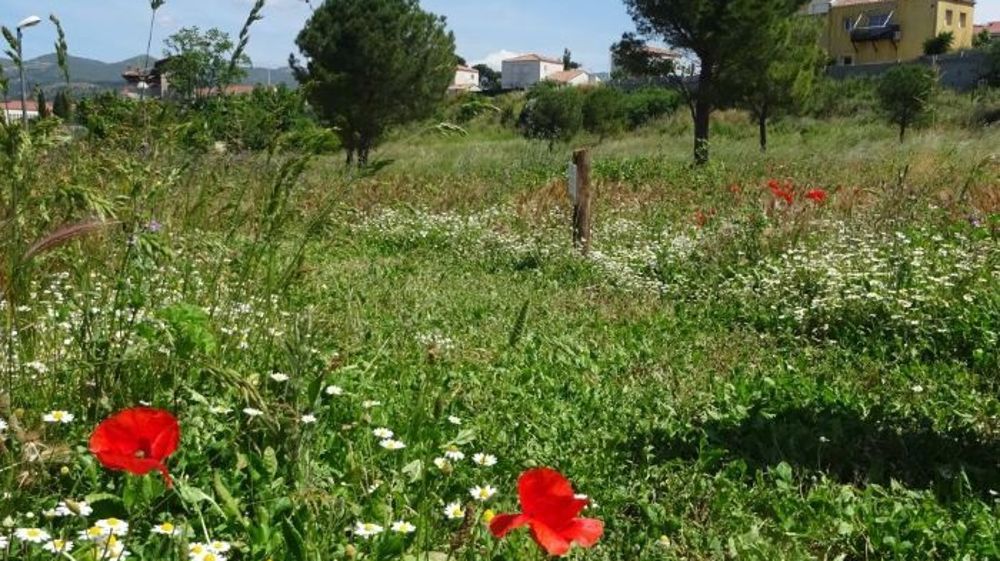 Le parc Athena, ville de Marseille : un site ayant renouvelé sa labellisation EcoJardin en 2025.