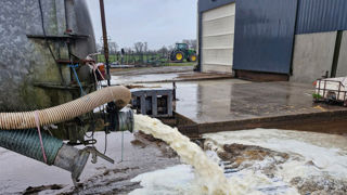 Dans le Grand Ouest, de nombreux éleveurs aux tanks débordants ont dû jeter plusieurs traites au caniveau, à cause de l'épisode de neige.