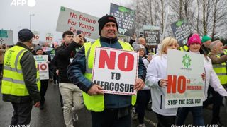 Des milliers d'agriculteurs irlandais manifestent contre l'accord UE-Mercosur