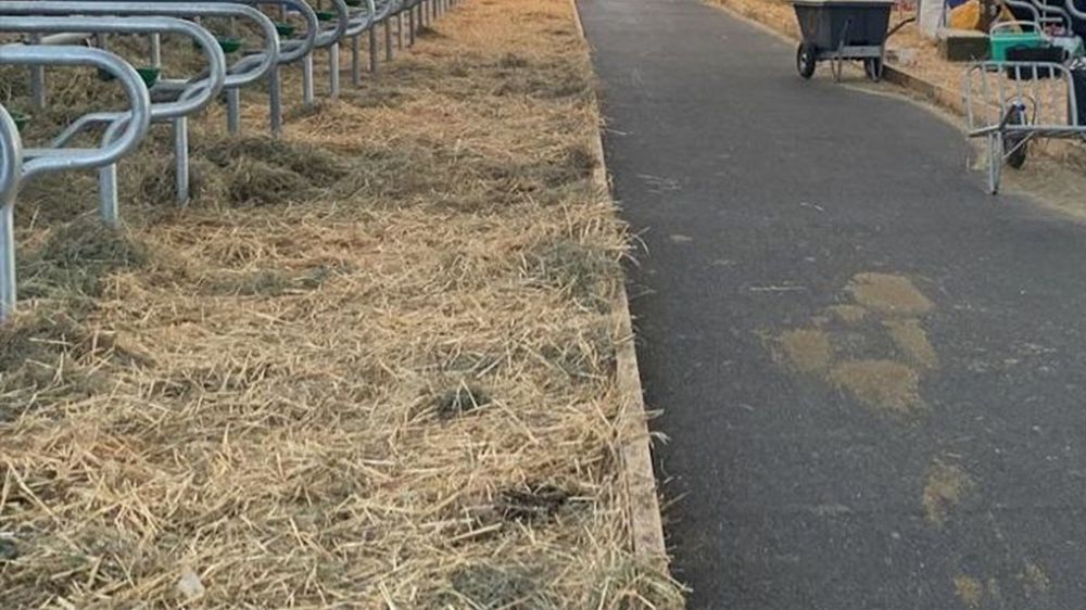 Pour la première fois, aucun bovin au Salon de l'agriculture à cause de la DNC