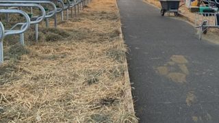 Pour la première fois, aucun bovin au Salon de l'agriculture à cause de la DNC