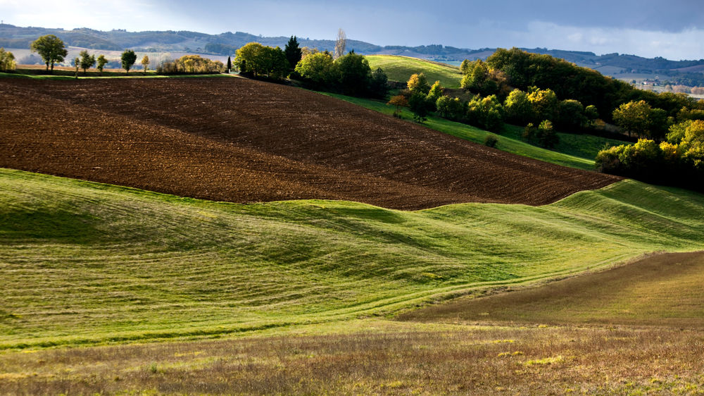 La nouvelle coopérative issue de la fusion de Terres du Sud et de Vivadour sera implantée dans huit départements du Sud-Ouest.