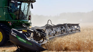 Dans le tumulte international, le marché des grains n'est pas épargné.