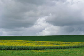 Le statut du fermage reconnaît la validité d’un bail verbal et la possibilité d’exercer le droit de préemption dans le respect de plusieurs conditions.