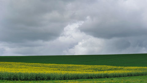 Le statut du fermage reconnaît la validité d’un bail verbal et la possibilité d’exercer le droit de préemption dans le respect de plusieurs conditions.
