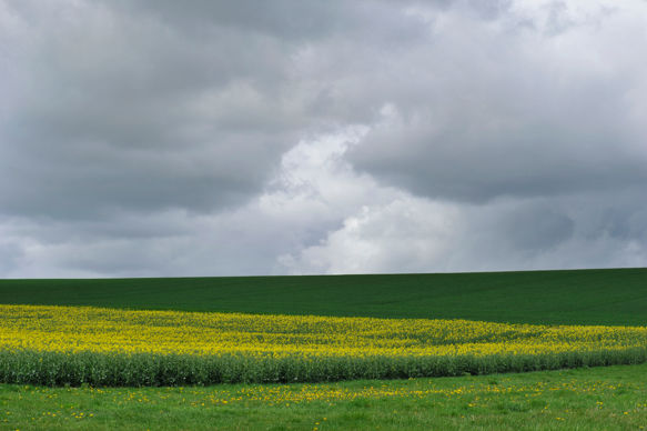 Le statut du fermage reconnaît la validité d’un bail verbal et la possibilité d’exercer le droit de préemption dans le respect de plusieurs conditions.