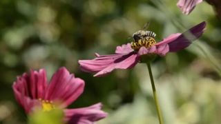 « Coup de Pousse » offre une aide financière  aux porteurs de projet pour réaliser leurs initiatives.