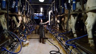 Quelle que soit la raison qui les conduit à quitter le métier, les agriculteurs « n’ont pas de difficulté à trouver un poste de salarié », assure Stéphanie Crison, conseillère en bilan de compétences à la chambre des métiers et de l’artisanat des Pays de la Loire).