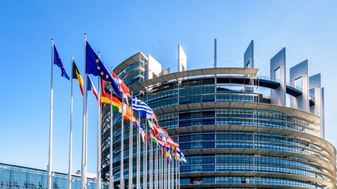 Le texte voté par le Parlement européen prévoit une réévaluation régulière des seuils de référence et intègre le sucre parmi les produits éligibles à l’intervention publique.