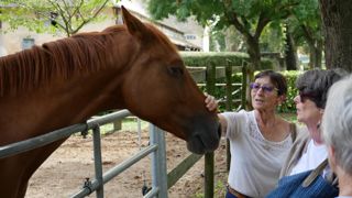 L’odeur de peur humaine mettrait les chevaux « dans un état d’alerte, de vigilance », même sans présence humaine.