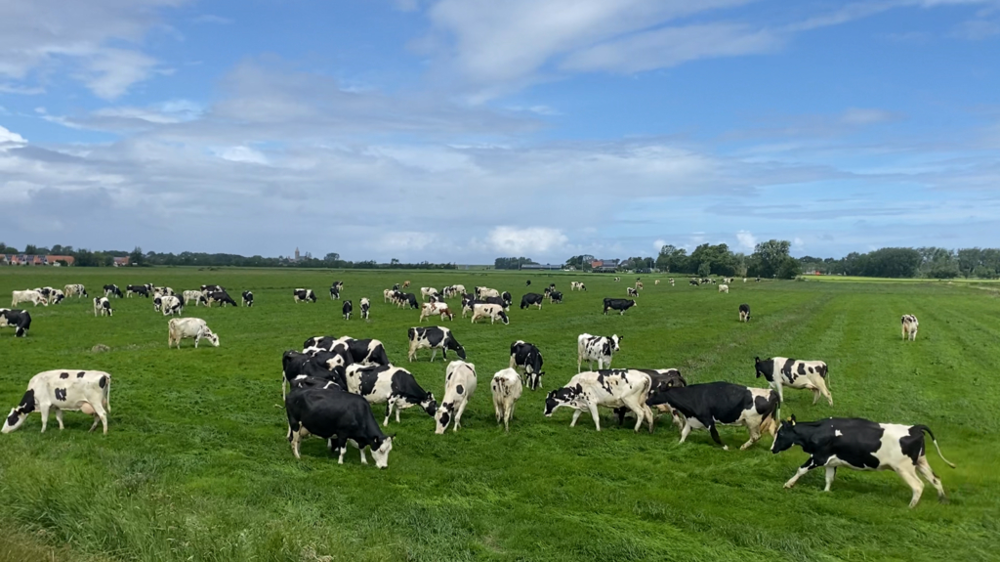Les prospectives de la Commission européenne sont plutôt positives pour la filière laitière, malgré des défis à relever au sujet du changement climatique, et des incertitudes sur les prix et disponibilités des intrants.