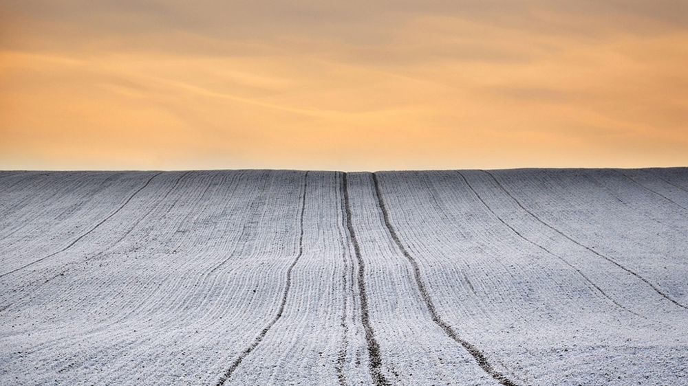 Champ recouvert de neige au lever du soleil.