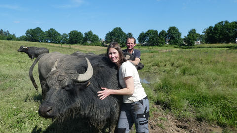 Avec le gîte, les troupeaux de vaches laitières, allaitantes et de bufflonnes, et 120 ha de prairies permanentes, Marie-Lise et Thierry Mounier souhaitent transmettre une « ferme durable » à leurs quatre enfants.