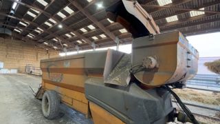 La Castor sert à la fois pour affourager les bovins avec une ration simple (foin et pulpe surpressée), et à les pailler.