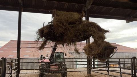 Pour ce type de pailleuse, mieux vaut avoir la place de mettre le télescopique face aux cases afin de pouvoir bien étendre le mât.