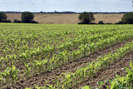 Selon la jurisprudence, la preuve des améliorations culturales peut résulter d’une comparaison des cinq premières années et des cinq dernières années d’exploitation faite au sujet des rendements et de la qualité des sols.