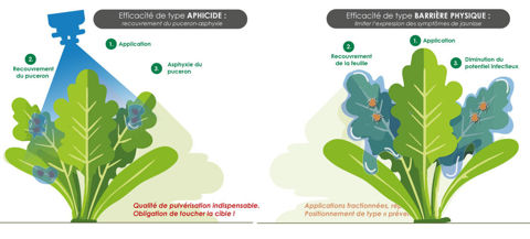 Mode d'action d'Illion