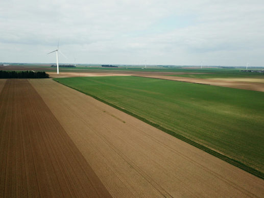 La hausse du taux d'exonération de la taxe foncière sur les propriétés non bâties s'applique à tous les baux.