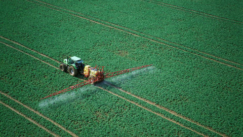 Le projet de recherche Arrup-Vico a tenté d'étudier l'assurabilité des risques liés à la réduction des usages phytosanitaires sur la vigne et le colza.