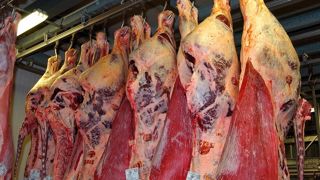 Viande bovine en abattoir