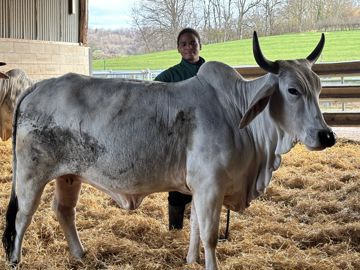 Biguine égérie du salon international de l'agriculture